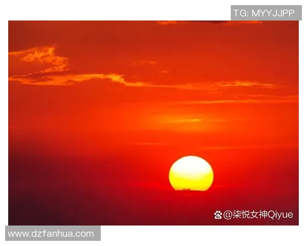 深度对话：黄强如何在排球世界中追寻梦想与成长的历程