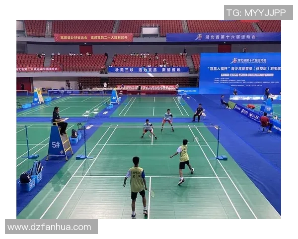 武汉羽毛球队运营策略深度分析与发展前景展望