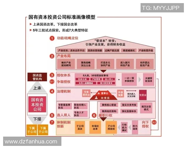 深入分析北京排球队运营策略与市场推广模式的成功之道
