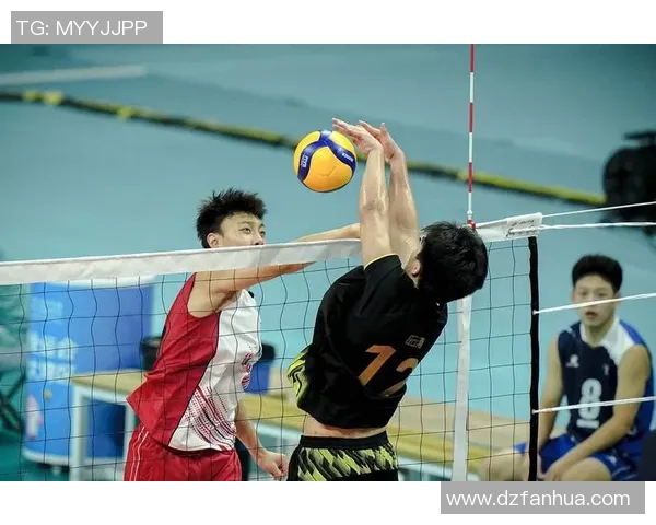 重庆排球队灵活性深度对比分析与发展潜力探讨