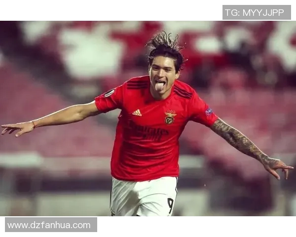 努涅斯的崛起与挑战：解析这位新星在足球界的影响力与未来发展潜力