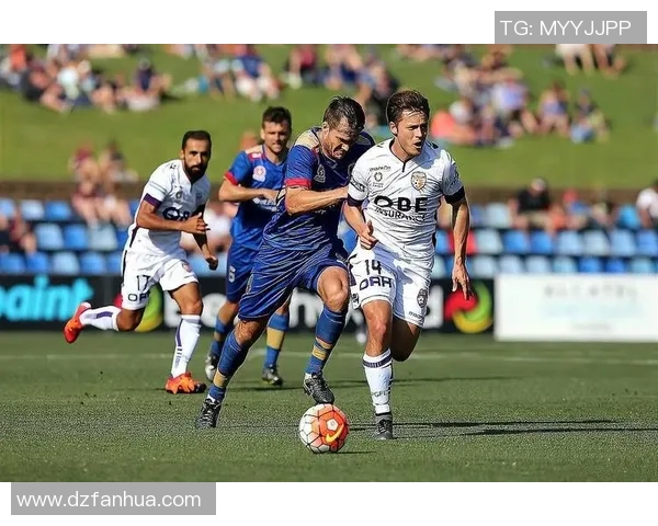 珀斯光辉对决惠林顿凤凰期待精彩赛事与激情碰撞