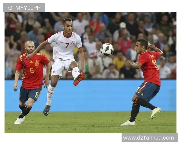 突尼斯与英格兰比赛统计分析及数据对比详解